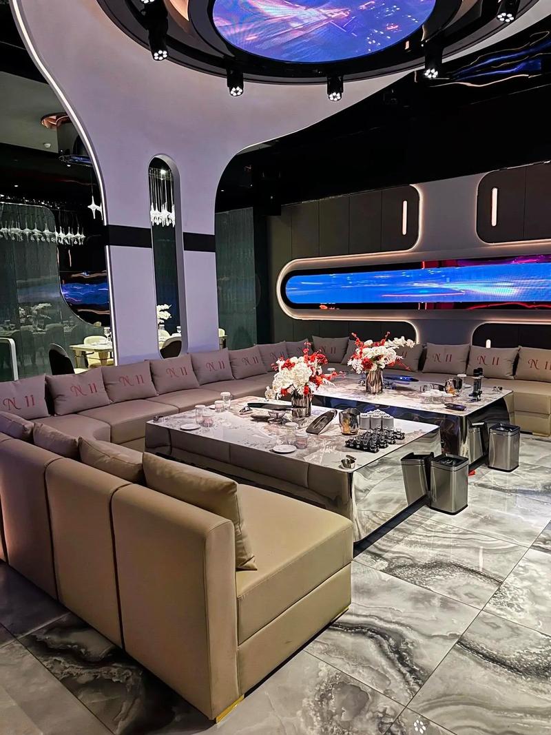 株洲商务ktv解析-天元区ktv预订